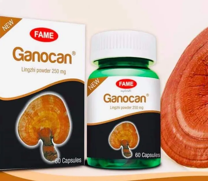 Fame%20Bundle,%20%E1%80%86%E1%80%AE%E1%80%B8%E1%80%81%E1%80%BB%E1%80%AD%E1%80%AF%E1%80%9E%E1%80%BD%E1%80%B1%E1%80%B8%E1%80%81%E1%80%BB%E1%80%AD%E1%80%AF%E1%80%9C%E1%80%B0%E1%80%94%E1%80%AC%E1%80%99%E1%80%BB%E1%80%AC%E1%80%B8%E1%80%A1%E1%80%90%E1%80%BD%E1%80%80%E1%80%BA%E1%80%90%E1%80%BD%E1%80%B2%E1%80%96%E1%80%80%E1%80%BA%E1%80%9E%E1%80%B1%E1%80%AC%E1%80%80%E1%80%BA%E1%80%9E%E1%80%AF%E1%80%B6%E1%80%B8%E1%80%94%E1%80%AD%E1%80%AF%E1%80%84%E1%80%BA%E1%80%9E%E1%80%B1%E1%80%ACFame%E1%80%86%E1%80%B1%E1%80%B8%E1%80%9D%E1%80%AB%E1%80%B8%E1%80%99%E1%80%BB%E1%80%AC%E1%80%B8%E1%81%8ACordyceps+Ganocan+Moringa+Nature%20C,%E1%80%9B%E1%80%BE%E1%80%AE%E1%80%95%E1%80%92%E1%80%AE%E1%80%B8+%E1%80%9C%E1%80%84%E1%80%BA%E1%80%87%E1%80%AE%E1%80%B8%E1%80%86%E1%80%B1%E1%80%B8+%E1%80%92%E1%80%94%E1%80%B7%E1%80%BA%E1%80%9E%E1%80%9C%E1%80%BD%E1%80%94%E1%80%BA%E1%80%9B%E1%80%BD%E1%80%80%E1%80%BA%E1%80%86%E1%80%B1%E1%80%B8+%E1%80%9E%E1%80%98%E1%80%AC%E1%80%9D%E1%80%85%E1%80%AE%20-%20Image%204