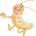 Herbal Termites and Bed Bugs Repellent Spray ဓာတုပစ္စည်းမဲ့ သဘာဝ ခြ/ကြမ်းပိုး ဖျန်းဆေး 500 ml/ 1000 ml. 