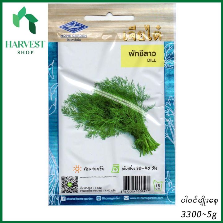 စမြိတ်ပင်မျိုးစေ့ (Dill Seeds)
