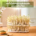 (Preorder) kawu Bean sprout machine, power 28 watts, for sprouting beans, planting vegetables, multi-function, can make yogurt and natto, model DY801C. 