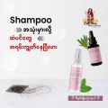 ရှမ်းမစျေးခြင်း Rosemary Oil Hair Scalp Treatment 50ml. 