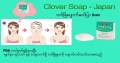 Clover Acne Remove Facial Soap (၀က်ခြံပျောက်ဆပ်ပြာခဲ 80g အတုံးကြီး) Made in Japan. 