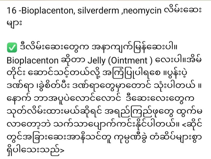 Bioplacenton%20(%E1%80%98%E1%80%AD%E1%80%AF%E1%80%84%E1%80%BA%E1%80%A1%E1%80%AD%E1%80%AF%E1%80%95%E1%80%9C%E1%80%80%E1%80%BA%E1%80%86%E1%80%94%E1%80%BA%E1%80%90%E1%80%94%E1%80%BA%E1%80%81%E1%80%9B%E1%80%84%E1%80%BA)%20-%20Image%205