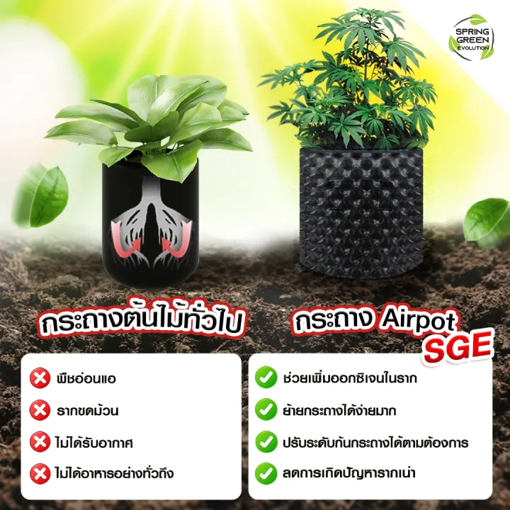 (Preorder)%20Air%20Pot%20plant%20pot,%20AP%20model,%20available%20in%207%20sizes,%20HDPE%20grade%20plastic%20material,%20not%20easily%20broken,%20eliminating%20root%20rot,%20fungus,%20-%20Image%204