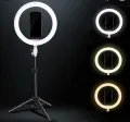 Tiktok Ring Light (10”). 