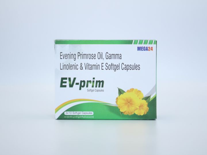 Mega%20EV-Prim%20-%20Image%204