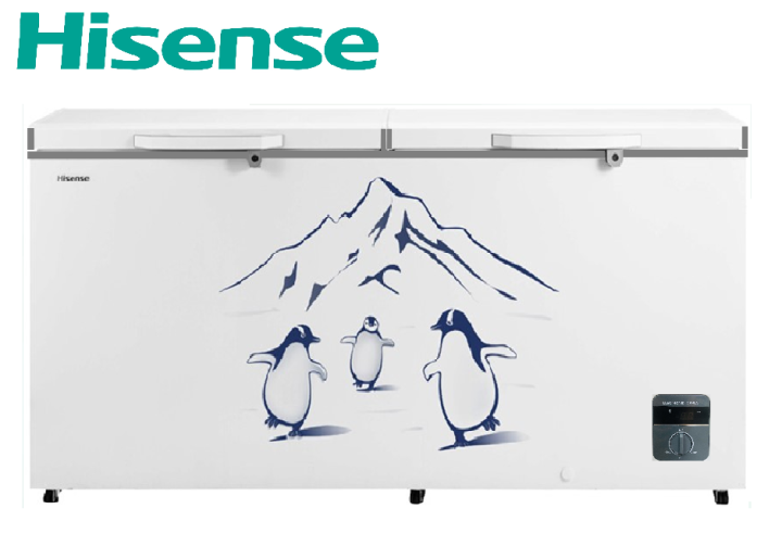 Hisense Freezer FC-65DD4SA (500 liters)