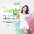 Common အဆီကျလှဆေး. 