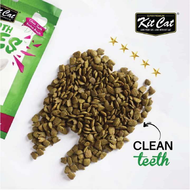 %F0%9D%90%8A%F0%9D%90%A2%F0%9D%90%AD%20%F0%9D%90%82%F0%9D%90%9A%F0%9D%90%AD%20%F0%9D%90%81%F0%9D%90%AB%F0%9D%90%9E%F0%9D%90%9A%F0%9D%90%AD%F0%9D%90%A1%20%F0%9D%90%81%F0%9D%90%A2%F0%9D%90%AD%F0%9D%90%9E%F0%9D%90%AC%20%F0%9D%9F%94%F0%9D%9F%8E%F0%9D%90%A0%20-%20Image%205