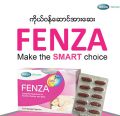 Mega We Care_FENZA complete nutrient for healthy mother and baby (ကိုယ်ဝန်ဆောင်အားဆေး). 
