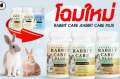 Rabbit Care  Recovery Formula. 