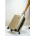 it Luggage Confide Sandy Carbon Effect (Small). 