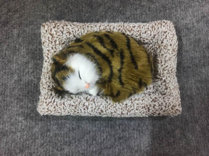 Clover%20Display%20Mold%20Sleeping%20Cat%20Design%20Purifying%20Air%20Plastic%20CartoonSimulation%20Animal%20Model%20for%20Car%20Kitten%20Models%20Home%20Decoration%20Toy(%E1%80%A1%E1%80%94%E1%80%B6%E1%80%B7%E1%80%85%E1%80%AF%E1%80%95%E1%80%BA%E1%80%80%E1%80%BC%E1%80%B1%E1%80%AC%E1%80%84%E1%80%BA%E1%80%9B%E1%80%AF%E1%80%95%E1%80%BA%E1%80%9C%E1%80%B1%E1%80%B8)%20-%20Image%206