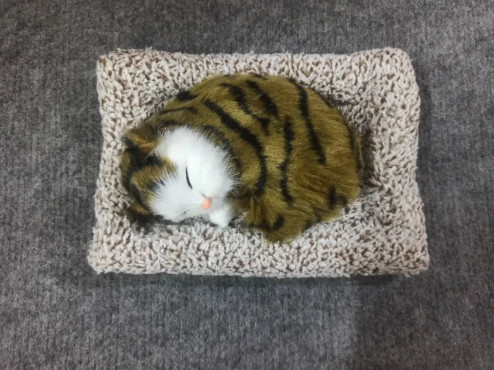 Clover%20Display%20Mold%20Sleeping%20Cat%20Design%20Purifying%20Air%20Plastic%20CartoonSimulation%20Animal%20Model%20for%20Car%20Kitten%20Models%20Home%20Decoration%20Toy(%E1%80%A1%E1%80%94%E1%80%B6%E1%80%B7%E1%80%85%E1%80%AF%E1%80%95%E1%80%BA%E1%80%80%E1%80%BC%E1%80%B1%E1%80%AC%E1%80%84%E1%80%BA%E1%80%9B%E1%80%AF%E1%80%95%E1%80%BA%E1%80%9C%E1%80%B1%E1%80%B8)%20-%20Image%206
