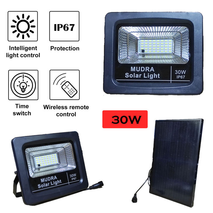 Solar Flood Light (30W)