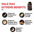 Nano Singapore Myanmar Male Max Extreme- 60ct. 