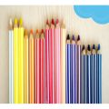 STABILO Swans Premium Edition Color Pencil Set 3.8 MM Thick Lead - 24 Pcs. 