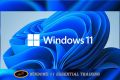 Microsoft Windows 11 Essential Learning DVD Soft Copy (iso). 