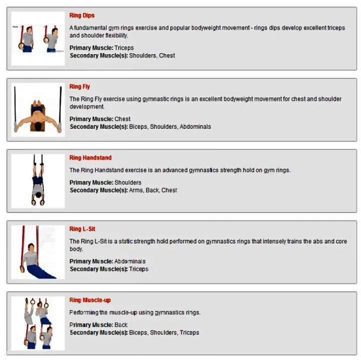 Wooden%20Gymnastic%20Rings%20with%20Adjustable%20Straps%20(First%20Place)%20-%20Image%207