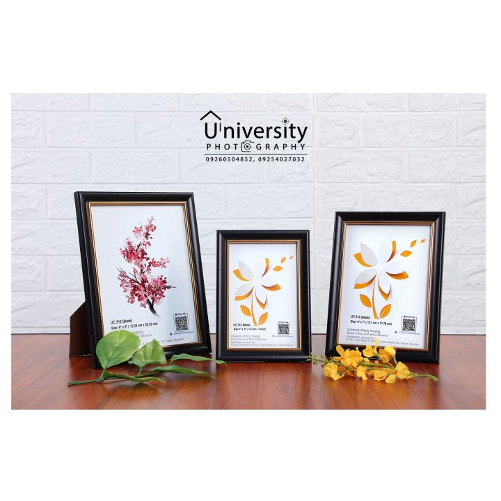 Quality Frames for Precious Memories, 4x6 Size Photo Frame, UC 312 (black)