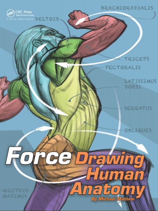 Ebook%20-%20FORCE:%20Drawing%20Human%20Anatomy%20(Force%20Drawing%20Series)%201st%20Edition%20-%20Image%202