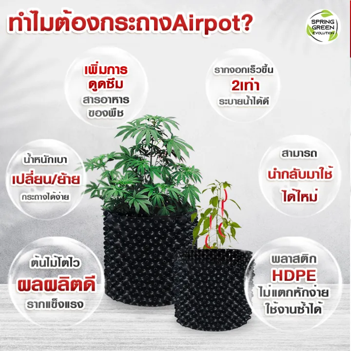 (Preorder)%20Air%20Pot%20plant%20pot,%20AP%20model,%20available%20in%207%20sizes,%20HDPE%20grade%20plastic%20material,%20not%20easily%20broken,%20eliminating%20root%20rot,%20fungus,%20-%20Image%208