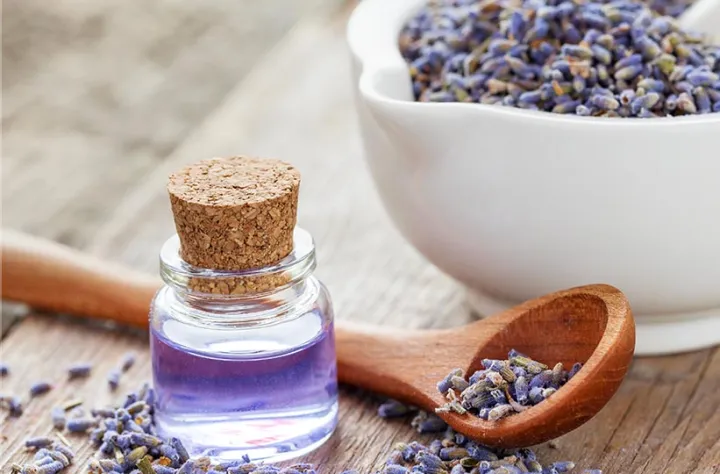 FRENCH%20LAVENDER%20BODY%20LOTION%20480%20ml%20-%20Image%202