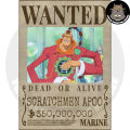One Piece Wanted Poster. 