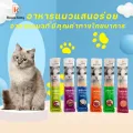 Royal Kitty Creamy_15g x 10pcs_Tuna Flavor. 
