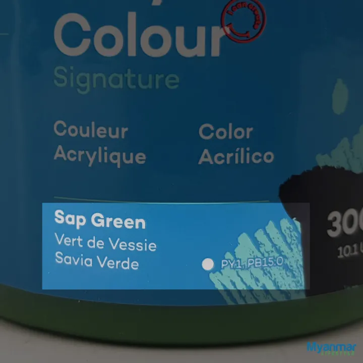 Sap%20Green%20%E2%80%93%20300ml%20%E2%80%93%20Acrylic%20Paint%20%E2%80%93%20Mont%20Marte%20-%20Image%206