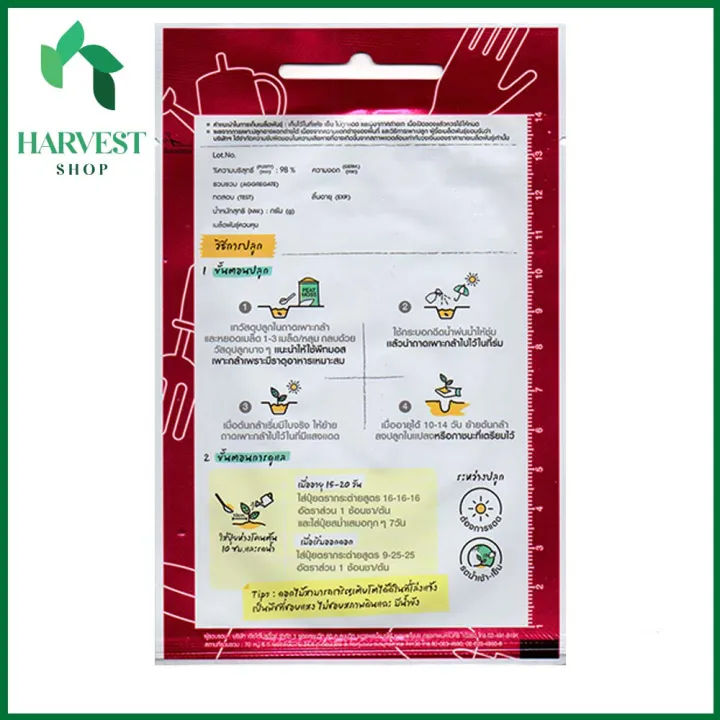 %E1%80%91%E1%80%95%E1%80%BA%E1%80%90%E1%80%85%E1%80%BA%E1%80%9B%E1%80%AC%E1%80%95%E1%80%94%E1%80%BA%E1%80%B8%E1%80%95%E1%80%84%E1%80%BA%E1%80%99%E1%80%BB%E1%80%AD%E1%80%AF%E1%80%B8%E1%80%85%E1%80%B1%E1%80%B7%20(Marigold%20Honey%20Gold%20Seeds)%20-%20Image%202