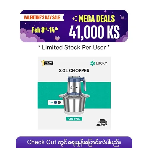 Lucky%202.0L%20meat%20chopper%20(CDL-198S)%20-%20Image%203