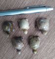 Fossil wood  turtles small size 5 pc  , အင်ကြင်းကျောက် လိပ် အသေး ၅ ကောင်၊. 