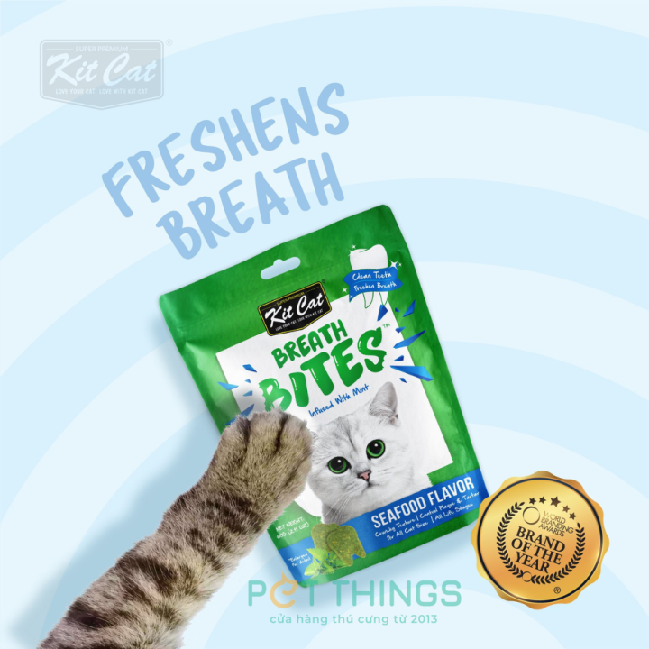 %F0%9D%90%8A%F0%9D%90%A2%F0%9D%90%AD%20%F0%9D%90%82%F0%9D%90%9A%F0%9D%90%AD%20%F0%9D%90%81%F0%9D%90%AB%F0%9D%90%9E%F0%9D%90%9A%F0%9D%90%AD%F0%9D%90%A1%20%F0%9D%90%81%F0%9D%90%A2%F0%9D%90%AD%F0%9D%90%9E%F0%9D%90%AC%20%F0%9D%9F%94%F0%9D%9F%8E%F0%9D%90%A0%20-%20Image%202