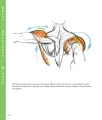 Ebook - FORCE: Drawing Human Anatomy (Force Drawing Series) 1st Edition. 