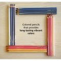 STABILO Swans Premium Edition Color Pencil Set 3.8 MM Thick Lead - 24 Pcs. 