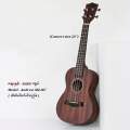 Andrew Ukulele ADL-007 (concert size 23'') [ Tike Na Lone Musical ]. 