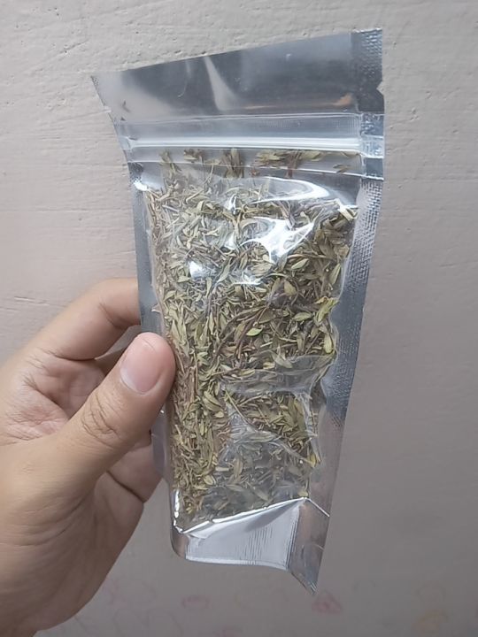 Thyme%20(%E1%80%9F%E1%80%84%E1%80%BA%E1%80%B8%E1%80%81%E1%80%90%E1%80%BA%E1%80%A1%E1%80%99%E1%80%BD%E1%80%BE%E1%80%B1%E1%80%B8%E1%80%A1%E1%80%80%E1%80%BC%E1%80%AD%E1%80%AF%E1%80%84%E1%80%BA)%20-%20Image%202