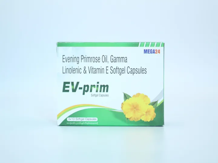 Mega%20EV-Prim%20-%20Image%203