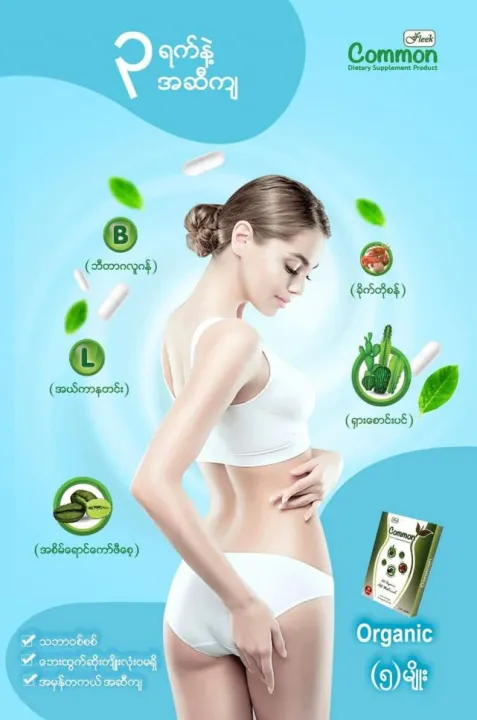 Common%20%E1%80%A1%E1%80%86%E1%80%AE%E1%80%80%E1%80%BB%E1%80%9C%E1%80%BE%E1%80%86%E1%80%B1%E1%80%B8%20-%20Image%204