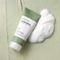 Bring Green artemisia ph balance cleansing foam 250ml. 