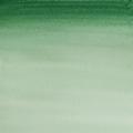 WINSOR AND NEWTON COTMAN WATERCOLOUR 21 ML - HOOKER'S GREEN DARK (312). 