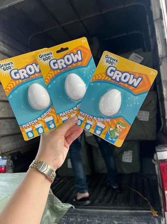 Dinosour%20Egg%20-%20Image%203