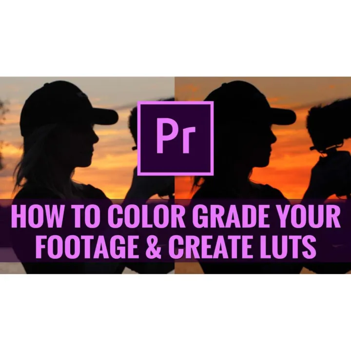 Udemy - How To Color Grade & Make LUTs In Premiere Pro For Beginners ( Soft Copy)