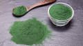 Spirulina powder (အလှမွေးငါးစာ‌ရေညှိမှုန့်). 