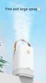 3.3L Dual Nozzle Mist Maker Essential Oil Aromatherapy Diffuser Coloful LED Light Ultrasonic Humidifier USB Fogger Air Purifier. 