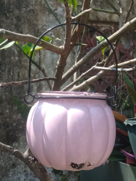 %E1%80%9B%E1%80%BD%E1%80%BE%E1%80%B1%E1%80%96%E1%80%9B%E1%80%AF%E1%80%B6%20%E1%80%9E%E1%80%AE%E1%80%B8%20%E1%80%81%E1%80%BB%E1%80%AD%E1%80%90%E1%80%BA%E1%80%95%E1%80%94%E1%80%BA%E1%80%B8%E1%80%A1%E1%80%AD%E1%80%AF%E1%80%B8%20%20%20%20(%20Indoor%20&%20Outdoor%20plant%20pot)%20-%20Image%208