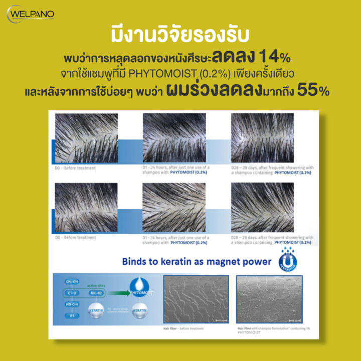 (Preorder)%C2%A0Welpano%20Supreme%20Anti-Hair%20Fall%20Biotin%20Shampoo%20-%20Image%206