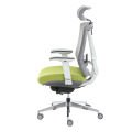 (Preorder) Ergotrend Health Chair, Ergotrend, Model ERGO-X GREEN, Green. 