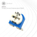 RM065 Trimpot Trimmer Potentiometer(100 ohm). 
